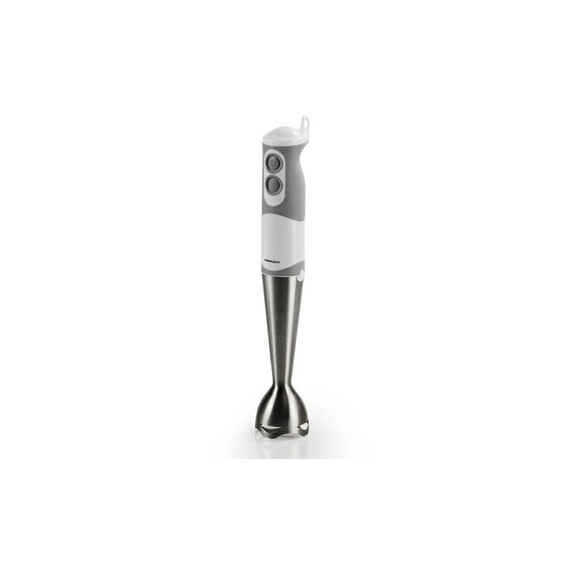 MIXER IMMERSIONE 500W TERMOZETA 76017