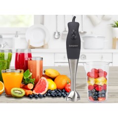 FRULLATORE A IMMERSIONE 220W BEPER BP.654