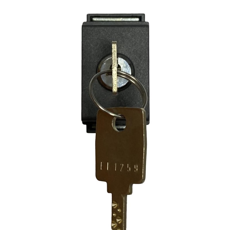 LIVING DEVIATORE A CHIAVE 16A BTICINO 4507D LIVING DEVIATORE A CHIAVE 16A BTICINO 4507D