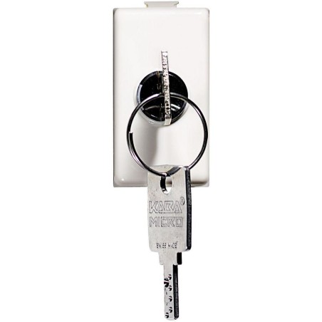 Matix deviatore a chiave 10A BTICINO AM5007D