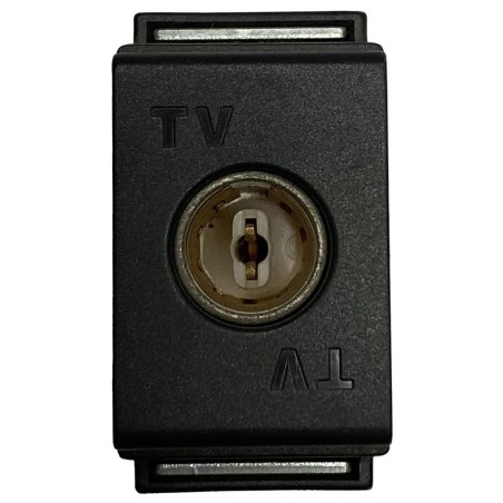 LIVING PRESA TV PASSANTE IN PRESSOFUSIONE BTICINO 4672P