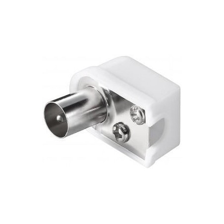 SPINA TV COASSIALE MASCHIO A PIPA