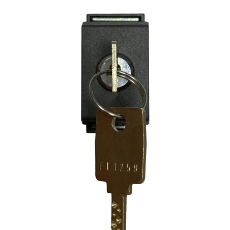 Living Classic Deviatore a Chiave 16A BTICINO 4507D