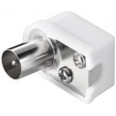 SPINA TV COASSIALE MASCHIO A PIPA