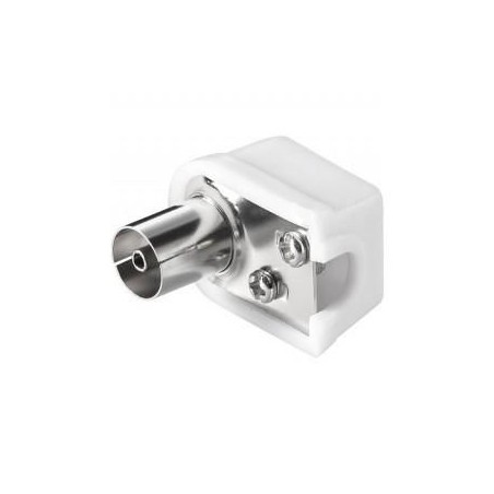 SPINA TV COASSIALE FEMMINA A PIPA