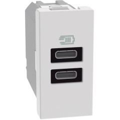 Caricatore USB con Doppia Porta tipo C bianco 15W MatixGO BTICINO JW4191CC