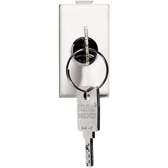 Pulsante a chiave MATIX 2P 10A NO BTICINO AM5007P