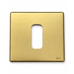 Placca Metallica 1 Modulo Bronzo GL2000 Molveno LEGRAND 65306