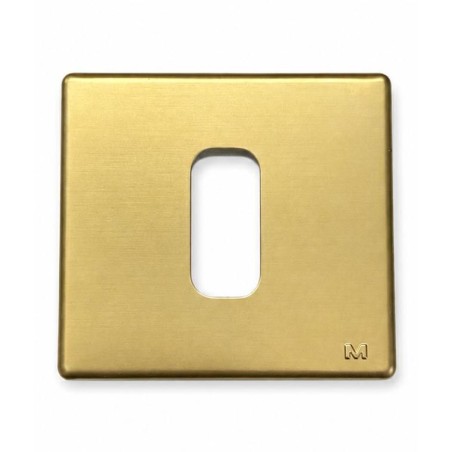 Placca Metallica 1 Modulo Bronzo GL2000 Molveno LEGRAND 65306