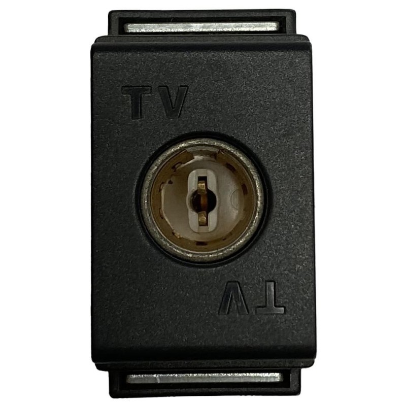 Living Presa TV Passante in Pressofusione BTICINO 4672P