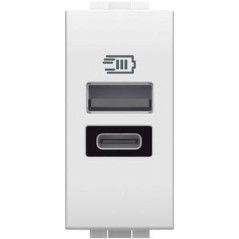 Caricatore USB 15W 2 Porte tipo A/C Living Light BTICINO N4191AC Caricatore USB 15W 2 Porte tipo A/C Living Light BTICINO N4191AC